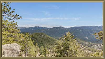 Mountain View Home for Sale in Bailey CO