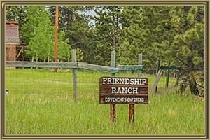 Homes For Sale in Friendship Ranch Bailey CO