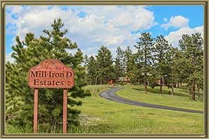 Homes For Sale in Mill Iron D Estates Bailey CO