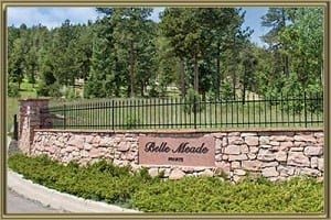 Homes For Sale in Belle Meade Conifer CO