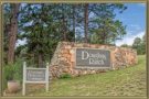 Homes For Sale in Douglas Ranch Pine CO
