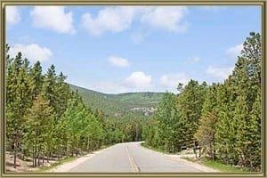 Homes For Sale in Evergreen Meadows West Conifer CO
