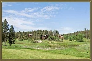 Homes For Sale in Oehlmann Park Conifer CO