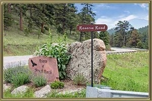 Homes For Sale in Preserve at Pine Meadows Pine CO
