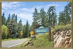 Homes For Sale in Blue Creek Evergreen CO