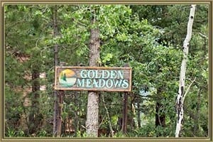 Homes For Sale in Golden Meadows Morrison CO
