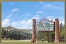 Homes For Sale in Homestead Morrison CO