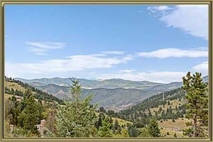 Homes For Sale in Hyland Hills Evergreen CO