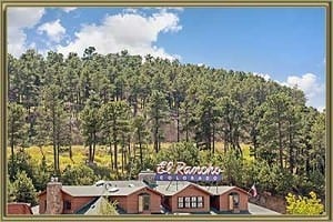 Townhomes For Sale in The Vistas Evergreen CO