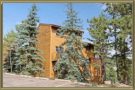 Townhomes For Sale in The Cedars Evergreen CO