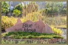 Homes For Sale in Blue Mesa Littleton 80125 CO