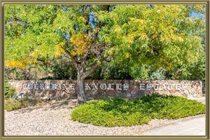 Homes For Sale in Columbine Knolls Estates Littleton 80128 CO