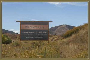 Homes for Sale in Montane