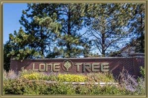Schools in Lone Tree CO