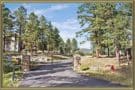 Homes For Sale in The Reserve at Tanoa Evergreen CO
