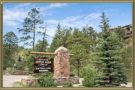Homes For Sale in Upper Bear Creek Evergreen CO