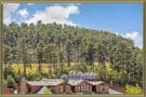 Townhomes For Sale in The Vistas Evergreen CO